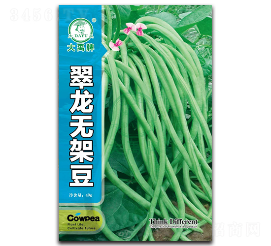 �����o�ܶ�-�ܶ��N��-�����N�I