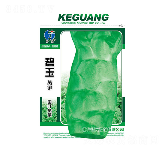 碧玉圓葉萵筍-科光種苗