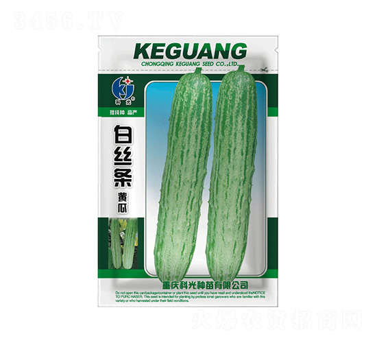 白絲條黃瓜-科光種苗
