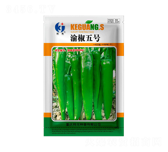 �彷5̖-�ƹ�N��