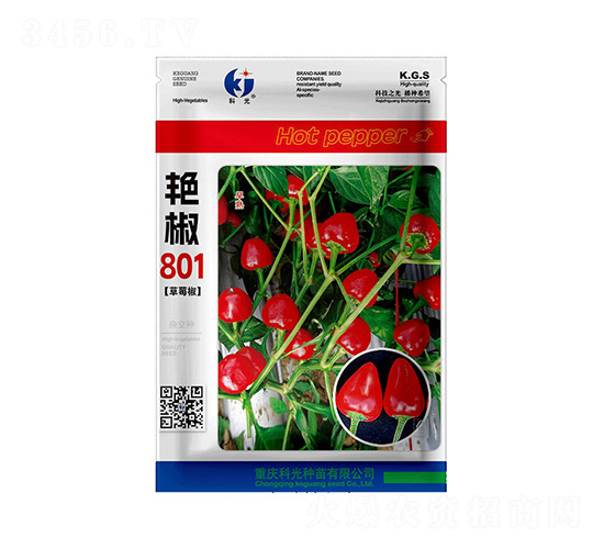 艷椒801-科光種苗