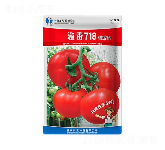 �巬718-�ƹ�N��