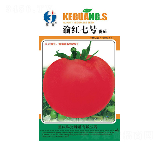 渝紅7號-科光種苗