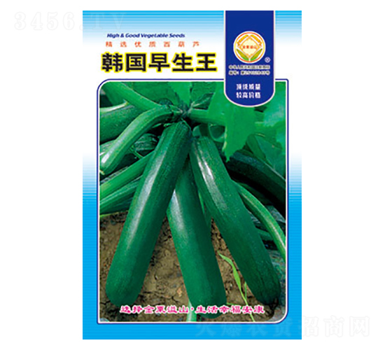 �����J�N��-�n��������-̫���N�I(y��)