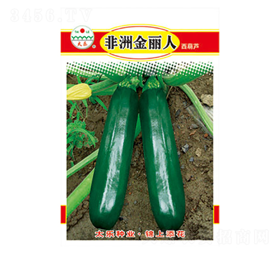 西葫蘆種子-非洲金麗人-太樂種業