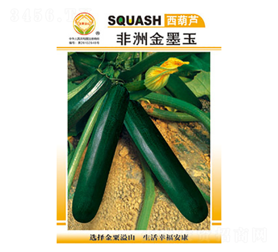 西葫蘆種子-非洲金墨王-太樂種業