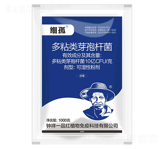 多粘類芽孢桿菌-細(xì)孤-鐘祥一品紅