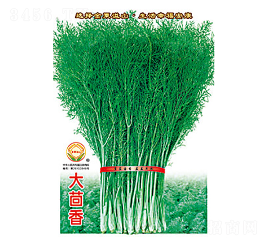 ������-̫���N�I