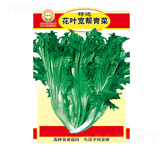 青菜種子-特選花葉寬幫青菜-太樂種業