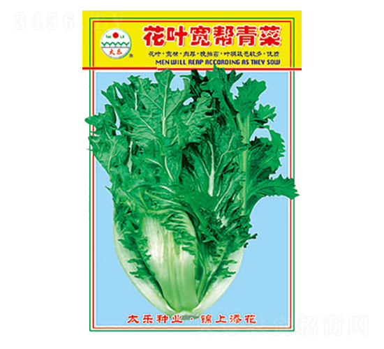 ��˷N��-���~�������-̫���N�I