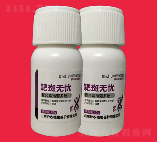 �аߟo�n-�V�V����ˎ������-�o�rֲ��