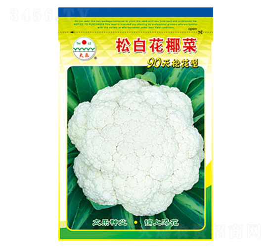 白花椰菜種子-松白花椰菜-太樂種業