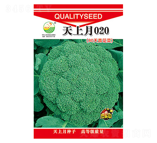 西蘭花種子-天上月020-太樂種業