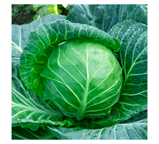 ���{�N��-學�312-�A孷N�I