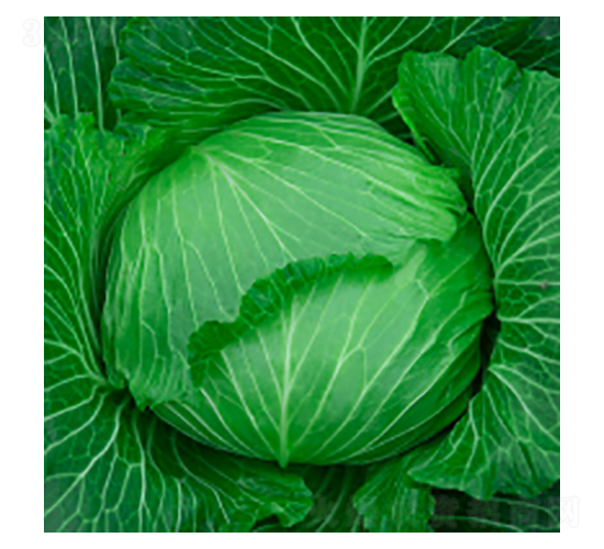 ���{�N��-學�316-�A孷N�I