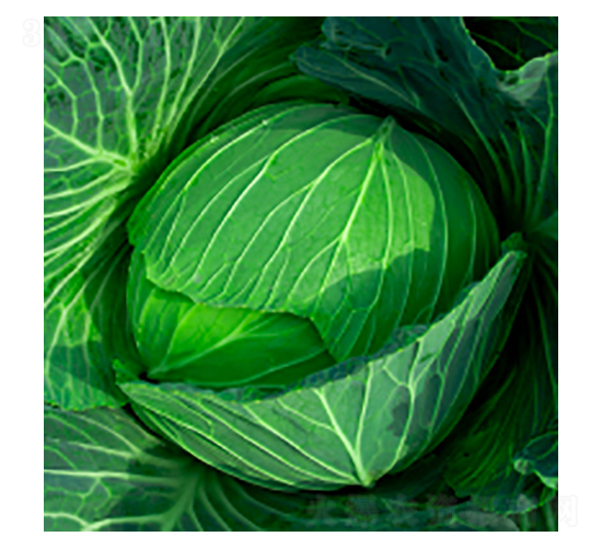 ���{(l��n)�N��-���s-�A孷N�I(y��)