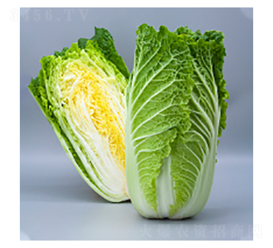 ��ײ˷N��-����-�A孷N�I