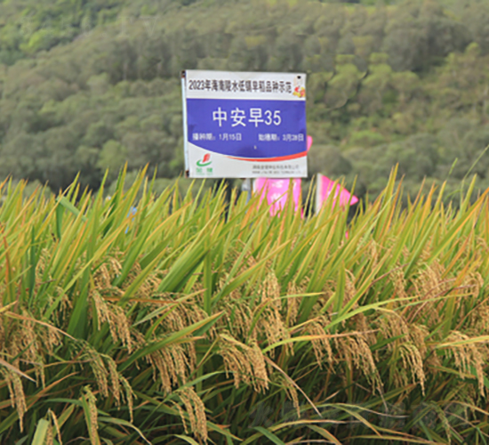 �а���35-ˮ���N��-�𽡷N�I