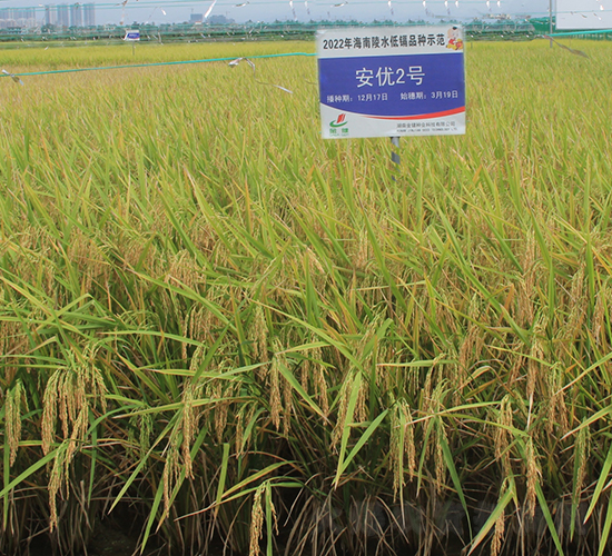 ����2̖-ˮ���N��-�𽡷N�I