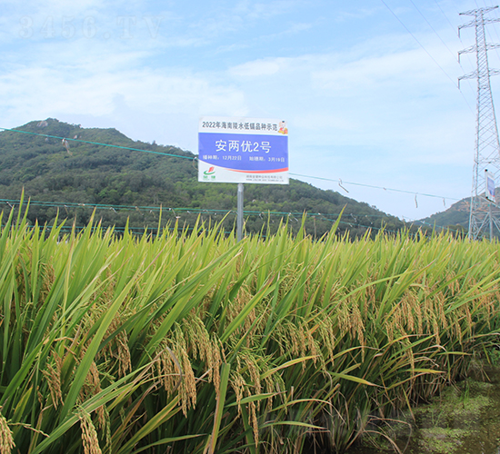 ���Ƀ�2̖-ˮ���N��-�𽡷N�I