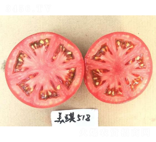 �߿�����518-���ѷN��-���S�N�I