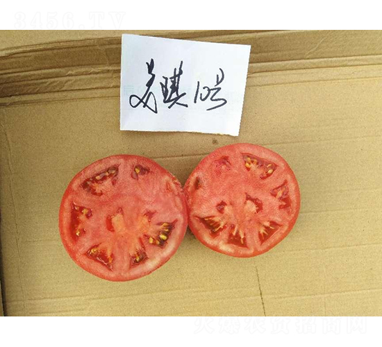 �߿�����10̖-���ѷN��-���S�N�I