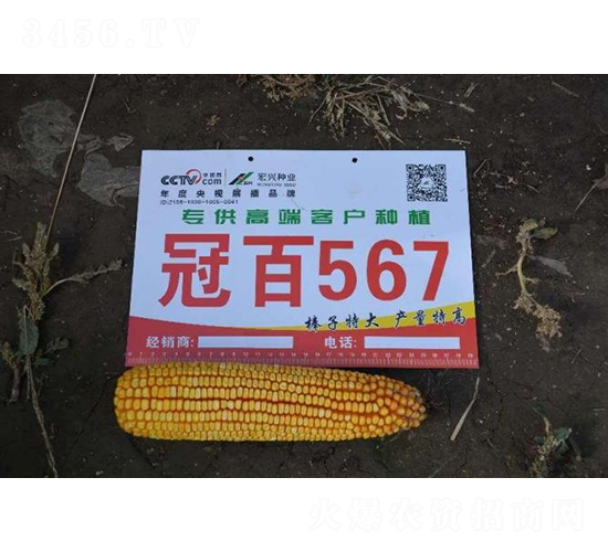 �ڰ�567-���׷N��-���S�N�I