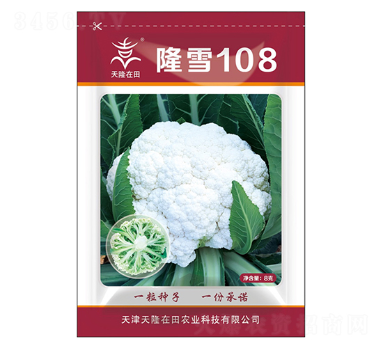 隆雪108-天隆在田-天隆農業