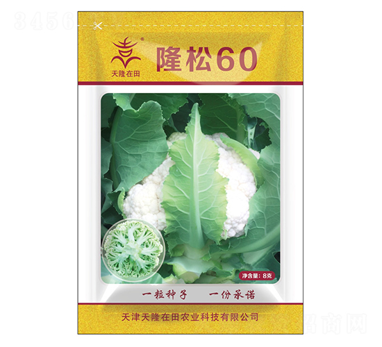 ¡��60-��¡����-��¡�r�I