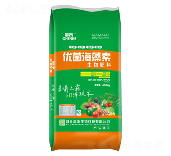 �������-����������-��������