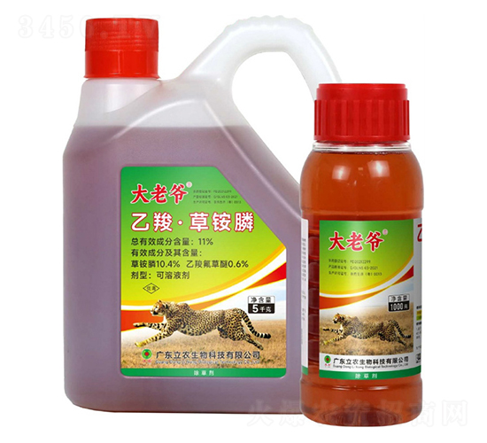 11%���ȡ����@�-���Ϡ�-�V�|���r