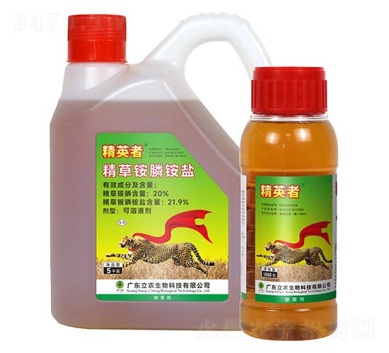 20%�����@�-��Ӣ��-�V�|���r