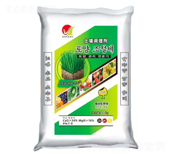 ʿ���{�턩-���������