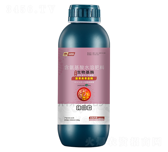 ���������ø-���_��