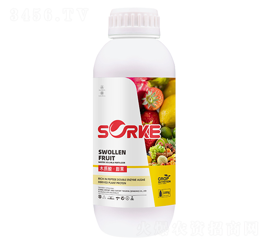 ľ�|�ᡤ���-ʩ�ֿ�