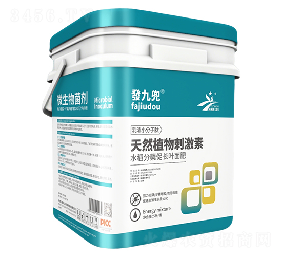 �l�Ŷ�΢�������-�����r�I