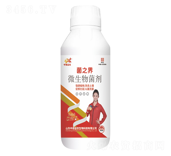 ΢�������-��֮��-�ƹ�ʯ