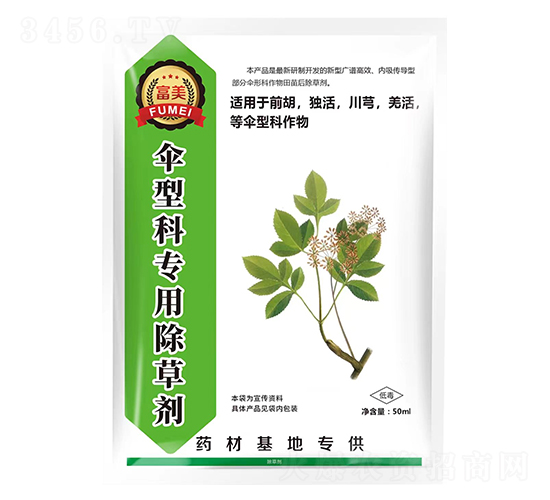 ǰ��/����/��ܺ/Ǽ����Ϳƌ��ó��݄�-����