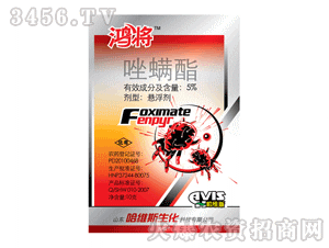 ����-������