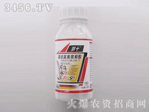 ��ʮ��Ч�ȷ������