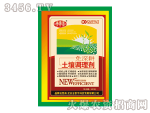 ��̩��-�����{�턩