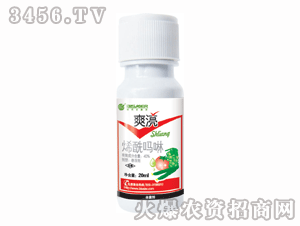 ��ِ��-ˬ��