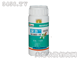 ���_-ȫ������������