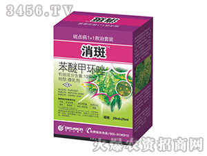 10%���Ѽ׭h(hu��n)��-����