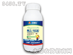 ���h-���-�����R����