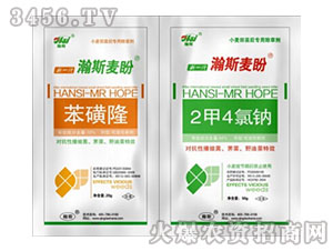 2��4���c+����¡-�˹����