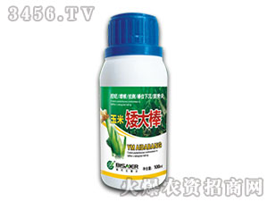 玉米調節劑-矮大棒