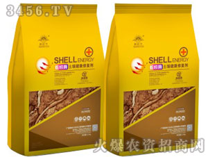 ���ø���������ޏ̈́�-����