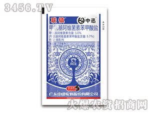 10�����װ������S���ر������}-(li��n)�(zh��n)-��Ѹ