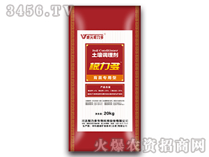 ���猣���������{�턩-������